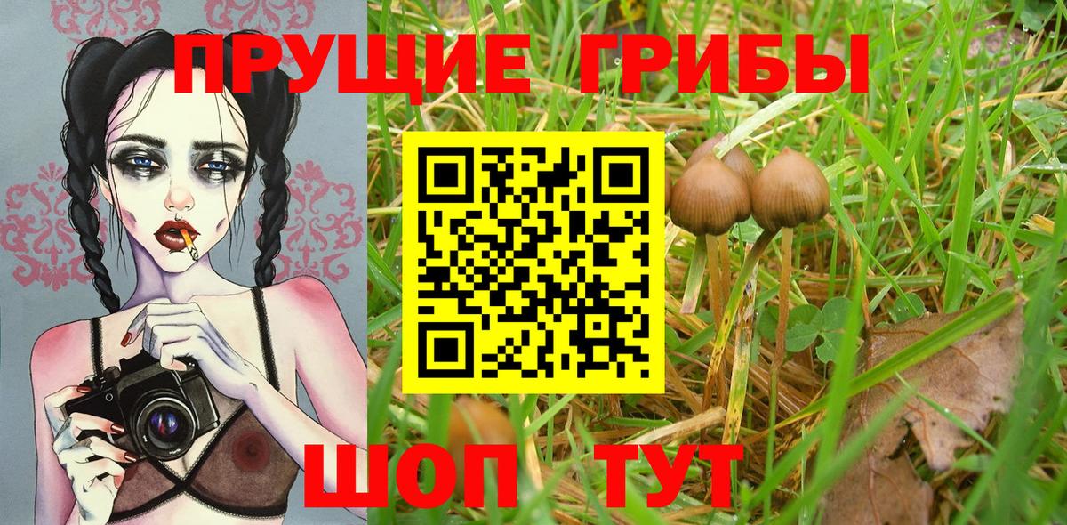 Реутов  Галлюциногенные грибы мицелий  как найти наркотики  Вход с VPN 